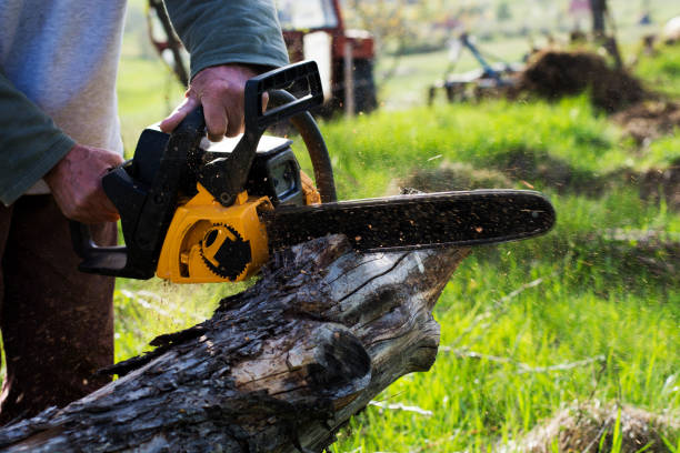 Franklinville, NC Tree Care Company
